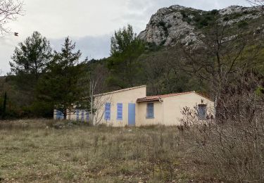 Randonnée Marche Peypin - Peypin en Provence  - Photo