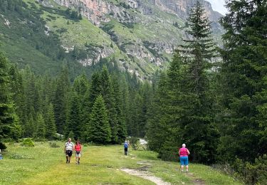 Percorso Marcia Badia - J7 Refuge Puez Parking Saint Sylvestre Val Gardena - Photo