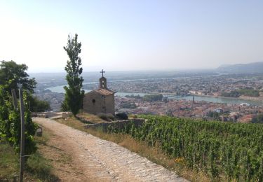 Excursión Marcha nórdica Gervans - 26 Gervans Crozes l' Hermitage - Photo