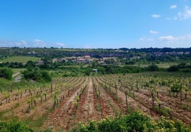 Percorso Marcia Minerve - arsel 21/05/19 minerve - Photo