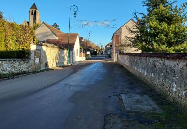 Randonnée Vélo de route Saligny - NE55 Thorigny sur Oreuse-01 - Photo