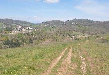 Tocht Mountainbike Lissac-sur-Couze - lac du causse,  circuit 10 - Photo