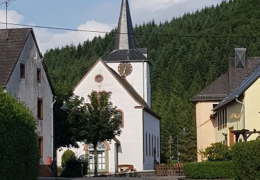 Randonnée A pied Niederstadtfeld - HeimatSpur 1000-jähriger Weg - Photo