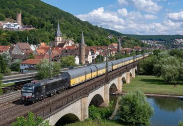 Tour Zu Fuß Gemünden am Main - Rote Schnepfe, Gemünden - Kloster Schönau - Photo