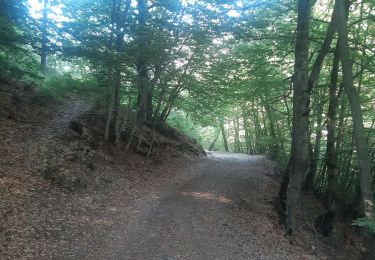 Trail Walking Ancelle - toufde la Pinouse : pré bouria . Le rouanne . la pinouse . moissiere . pré bouria - Photo