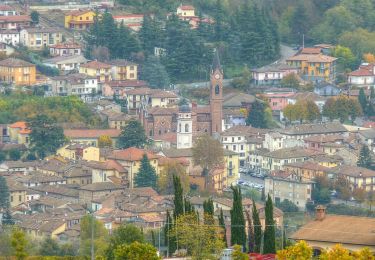 Tocht Te voet Godiasco Salice Terme - Anello dell'Alta Collina - Photo