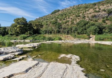 Tour Laufen Rosières - 13km - Photo