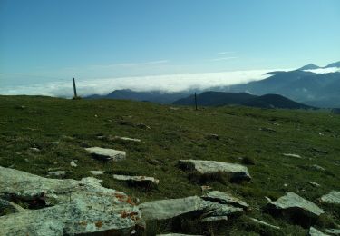 Excursión Senderismo Caussou - Le mont Forcat en passant par le Scaramus, le col de la Gardie et Prades - Photo