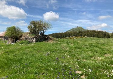 Tour Wandern Dienne - Laqueuille seycheuse vassiviere Peyre-Gary  - Photo