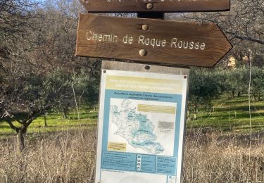 Tour Wandern Vaugines - Vaugines - roque rousse. -  Vaugines - Photo
