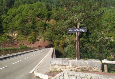 Randonnée Marche Daluis - Gorges de Daluis - Photo