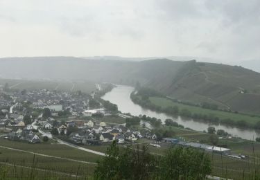 Tocht Stappen Leiwen - Leiwen hohe 6,6 km vineyards view  - Photo