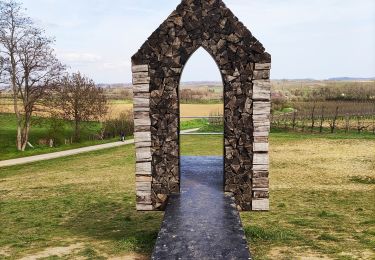 Trail Walking Sint-Truiden - Promenade vers la chapelle suspendue - Photo