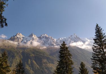 Randonnée Marche Chamonix-Mont-Blanc - 20211010 Chamonix Les Praz Sud - Photo