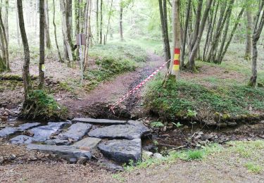 Trail Walking Beauraing - Felenne adeps terrain de foot - Photo