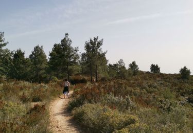 Trail Walking Vitrolles - les Crêtes de l'arbois  - Photo
