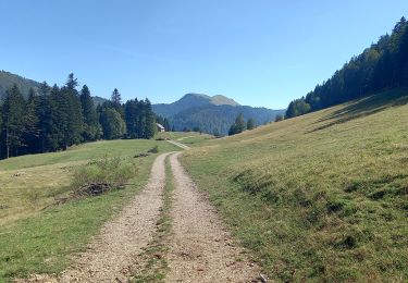 Trail Walking Billiat - GTJ 12 Ferme de Retord/Chalet d'Arviere  - Photo