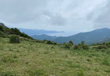 Randonnée Marche Manso - Corse 2023: Tuvarelli - Sierrera - Photo