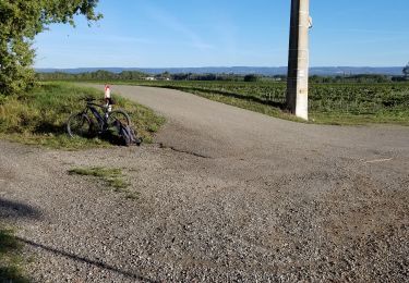 Trail Electric bike Carcassonne - Canal - Garage Clement a Villesequelande - Photo