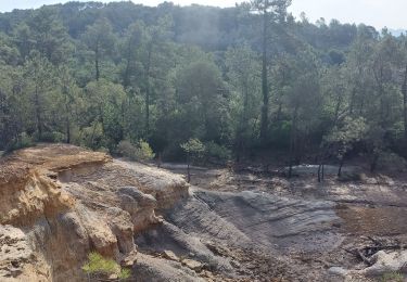 Tour Wandern Piolenc - Piolenc-Les Grottes-Chapelle St Baudile-Ancienne Forteresse de Mornas 16km. - Photo