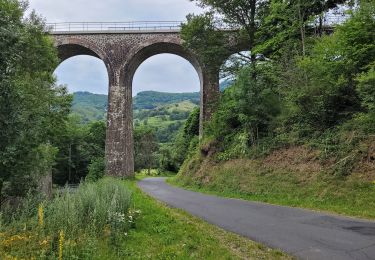 Trail Walking Saint-Jacques-des-Blats - Plomb du Cantal par les Gardes et retour Devezou n# 2 - Photo