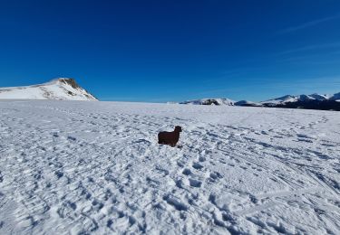 Randonnée Raquettes à neige Murat-le-Quaire - la Banne par le tenon - Photo