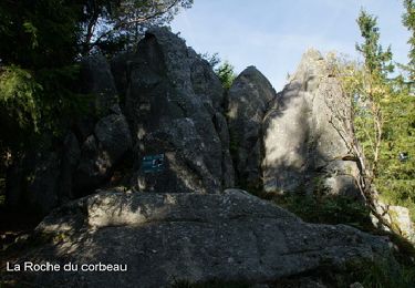 Trail Walking Le Bonhomme - Tête de Faux & roche du corbeau - Photo