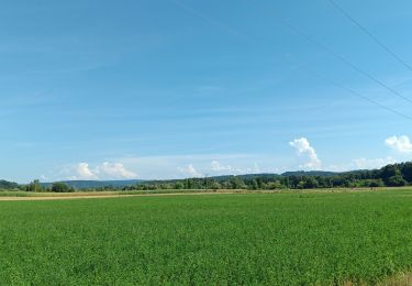 Randonnée Marche Saint-Vit - saint vit - velesmes-essarts /  autour du bois des saussottes - Photo