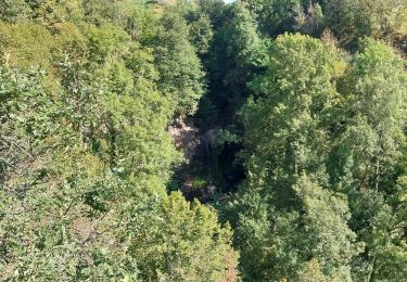 Tocht Stappen Vic-sur-Cère - pas de cere - Photo