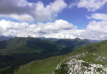 Trail Walking Salles - Col d'Andorre - Photo