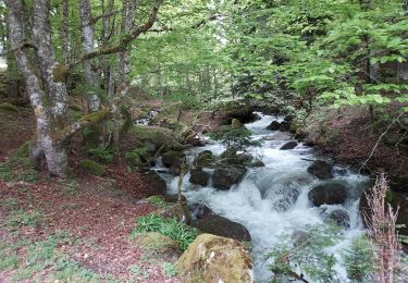 Tocht Stappen Ancizan - Payolle 12 - Photo