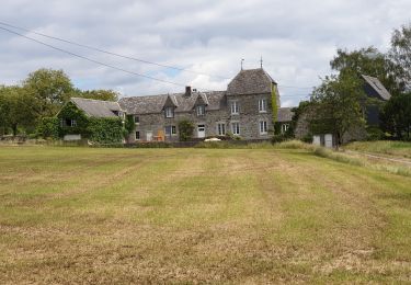 Tocht Stappen Neupré - Balade de Rotheux - Photo