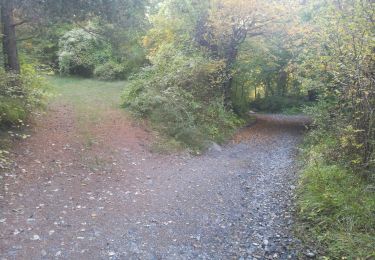 Trail Walking Pontis - La rama 171021 - Photo