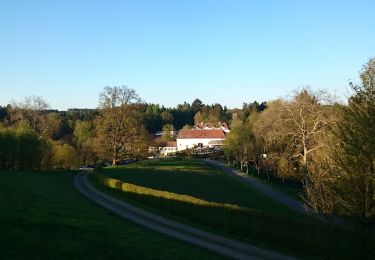 Percorso A piedi Nohfelden - Offizierspfad Imsbach - Photo