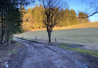 Tour Wandern Tenneville - Barrière de Champlon 27 km - Photo