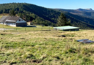 Randonnée Marche Metzeral - Autour du Lauchenkopf - Photo