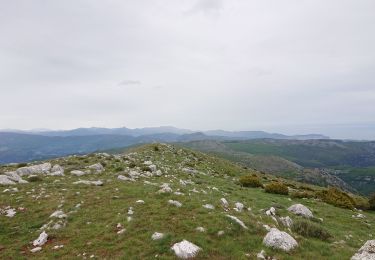 Tocht Stappen Coursegoules - Boucle Vieriuo - Photo