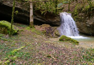 Excursión Senderismo Corveissiat - Corveissiat Arnans Selignac  - Photo