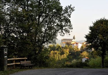 Tocht Te voet Vernio - Sentiero CAI 62A - Sez. Prato - Photo