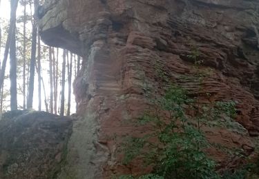 Tocht Stappen Bundenthal - baerensteig bruchweiler baerenbach - Photo