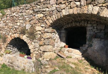 Tour Wandern Saint-Andéol-de-Vals - Grimpe loup - Photo