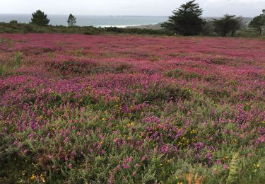 Trail Walking Crozon - Kerdreux  - Photo