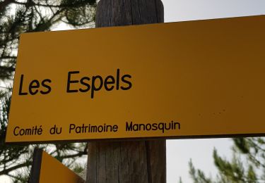 Tour Wandern Manosque - 1Les speels, le relais, le pain de sucre. Depart Crématoriome. - Photo
