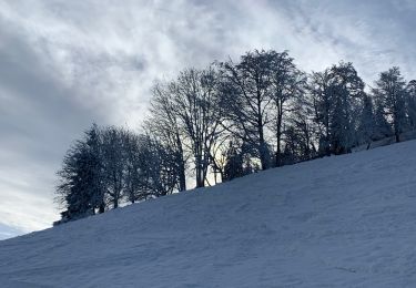 Tocht Stappen Le Bonhomme - Col des bagenelles / neige - Photo