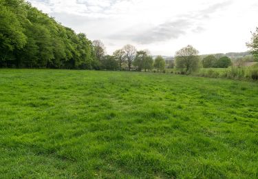 Tocht Te voet Horn-Bad Meinberg - Ruhe - Wanderweg Norderteich [Bad Meinberg] (VitalWanderWelt) - Photo