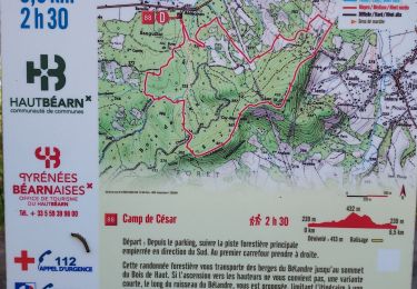Trail Walking Oloron-Sainte-Marie - G4 Haut doloron - Photo