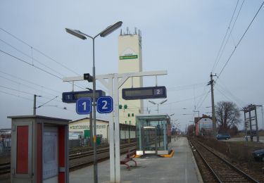 Percorso A piedi Gemeinde Gerasdorf bei Wien - Gerasdorfer Rundwanderweg - Photo