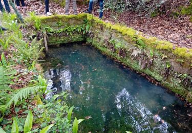 Tocht Stappen Lussagnet - balade Lussagnet - Photo