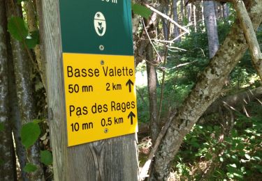 Trail Walking Rencurel - 38 vire bourne goule noire  - Photo