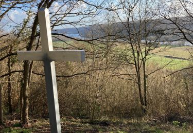 Tocht Stappen Vernon - Tour de Giverny - Photo